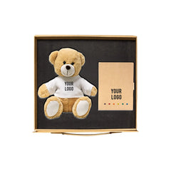Teddy Tales kids gift set teddy bear custom T-shirt eco drawing book UAE