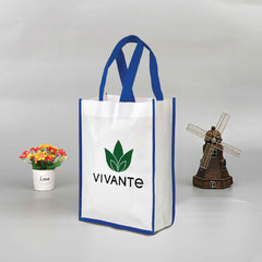Vertical Non woven Bag Blue