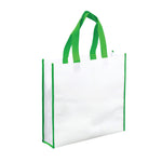 Horizontal Non woven Bag Green