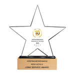 Star Shaped Crystal Award