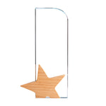 Crystal Award With Wooden Star Base