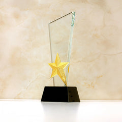 Crystal Trophy with Metal Star