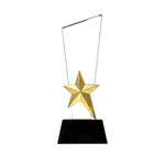 Crystal Trophy with Metal Star